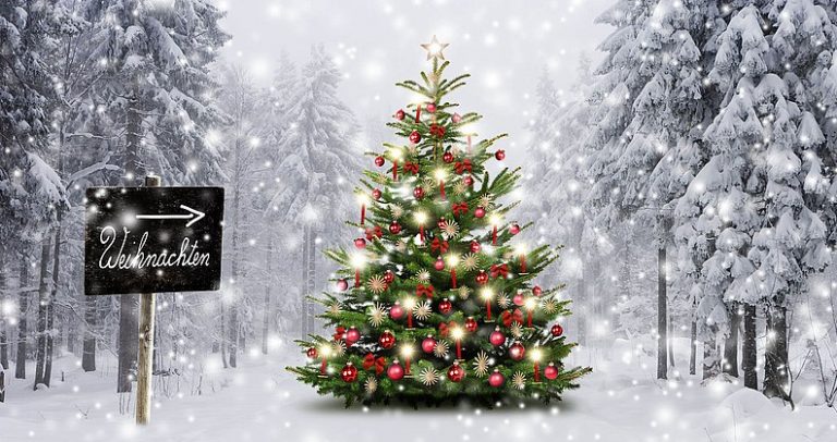 Dürfen Christen einen Weihnachtsbaum haben?