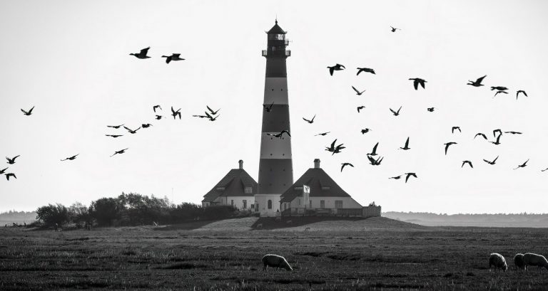 Prozess zur inneren Reife