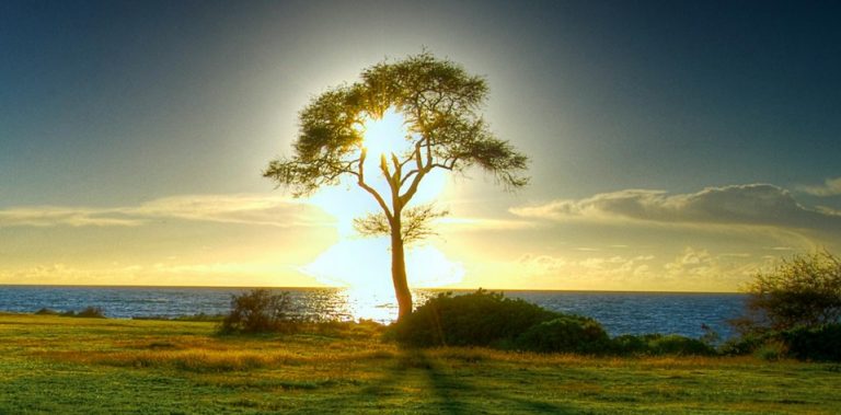 Ich bin ein armer Sünder