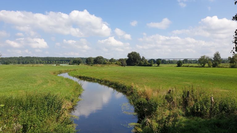 Woher kommen die Kämpfe und Streitigkeiten.