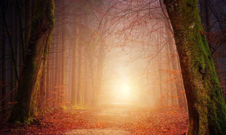 Vierundzwanzig Stühle