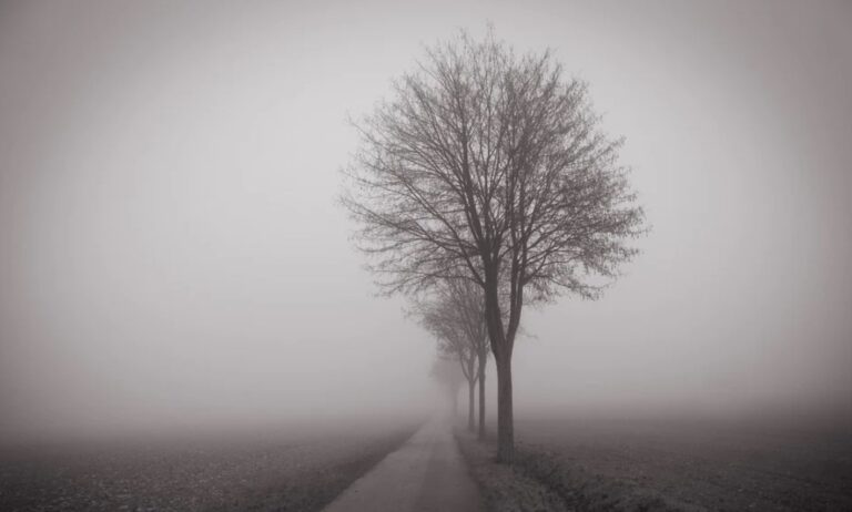 Lasst euch nicht verunreinigen