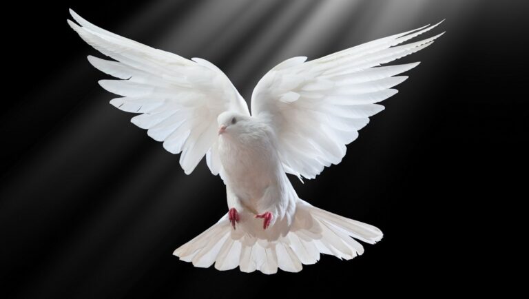 Mit dem Geiste des lebendigen Gottes