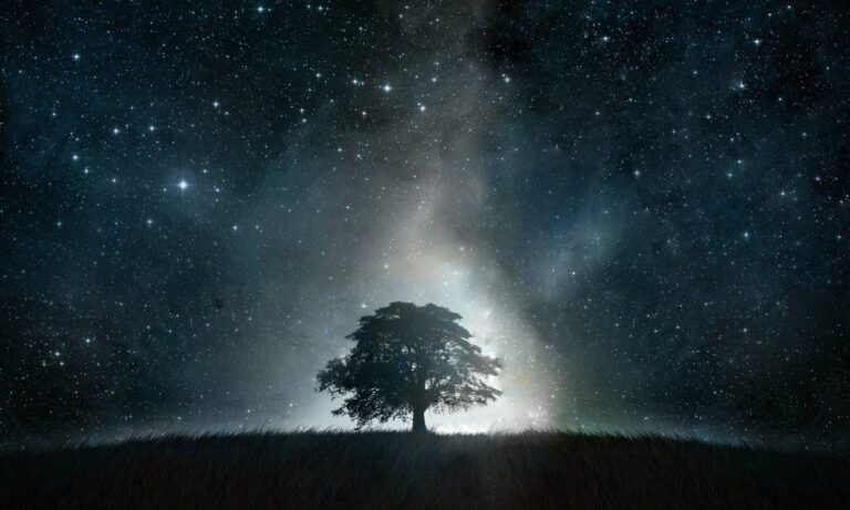 Richter der Lebenden und der Toten