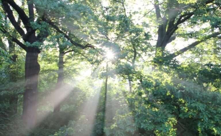 Vier Mann und vier Ecken