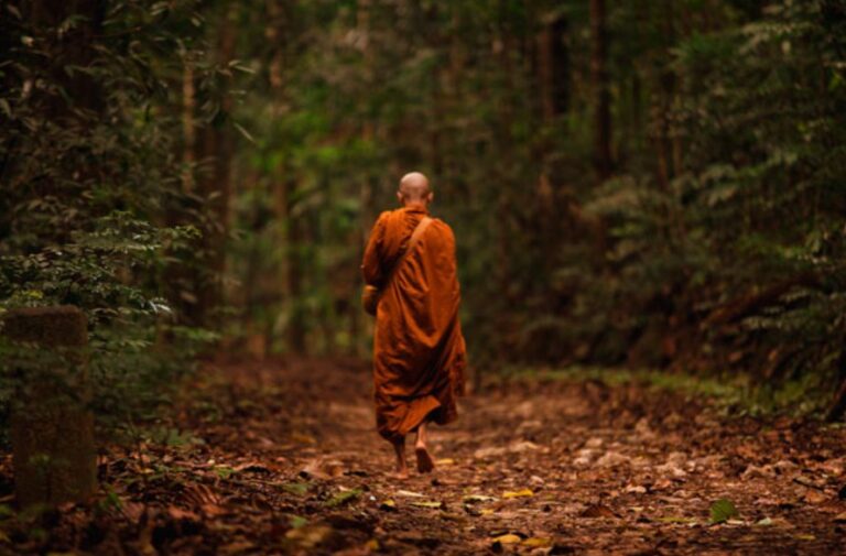 Vier Männer im Dschungel