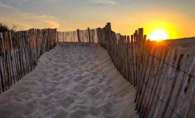 Bekennen und nicht schweigen