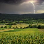 Die Linien biblischer Prophetie verdichten sich, Jesus kommt wieder CroppedPic078