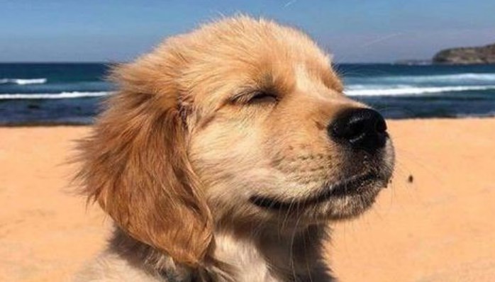 Balsam für verwundete Seelen