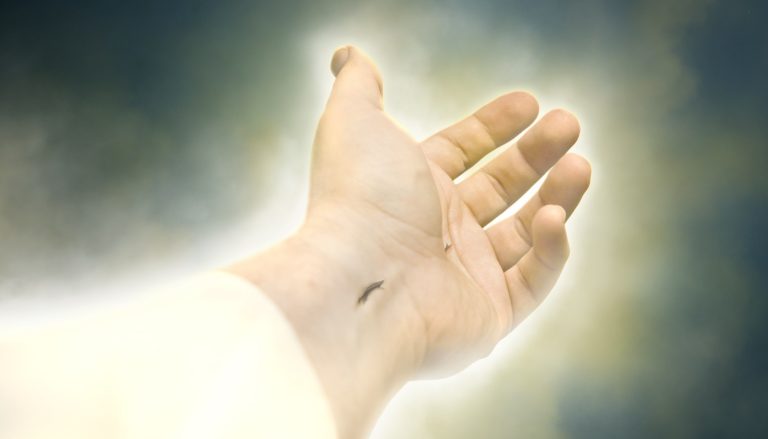 Die tiefe Bedeutung des Blutes Jesu Christi