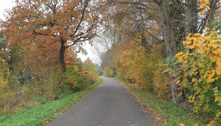 Weiß ich den Weg auch nicht